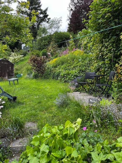 Annie'S Cottage Llanrhaeadr-ym-Mochnant Экстерьер фото