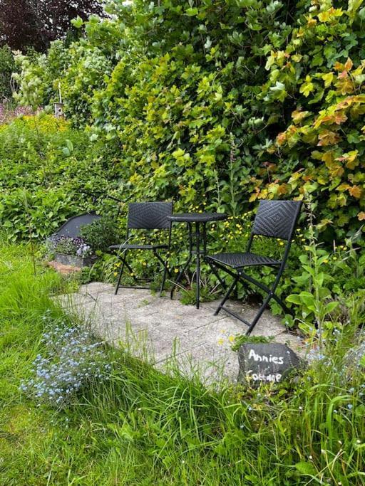 Annie'S Cottage Llanrhaeadr-ym-Mochnant Экстерьер фото